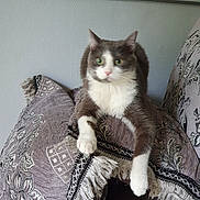 Nala participe au concours pour gagner de l'argent avec cette photo :