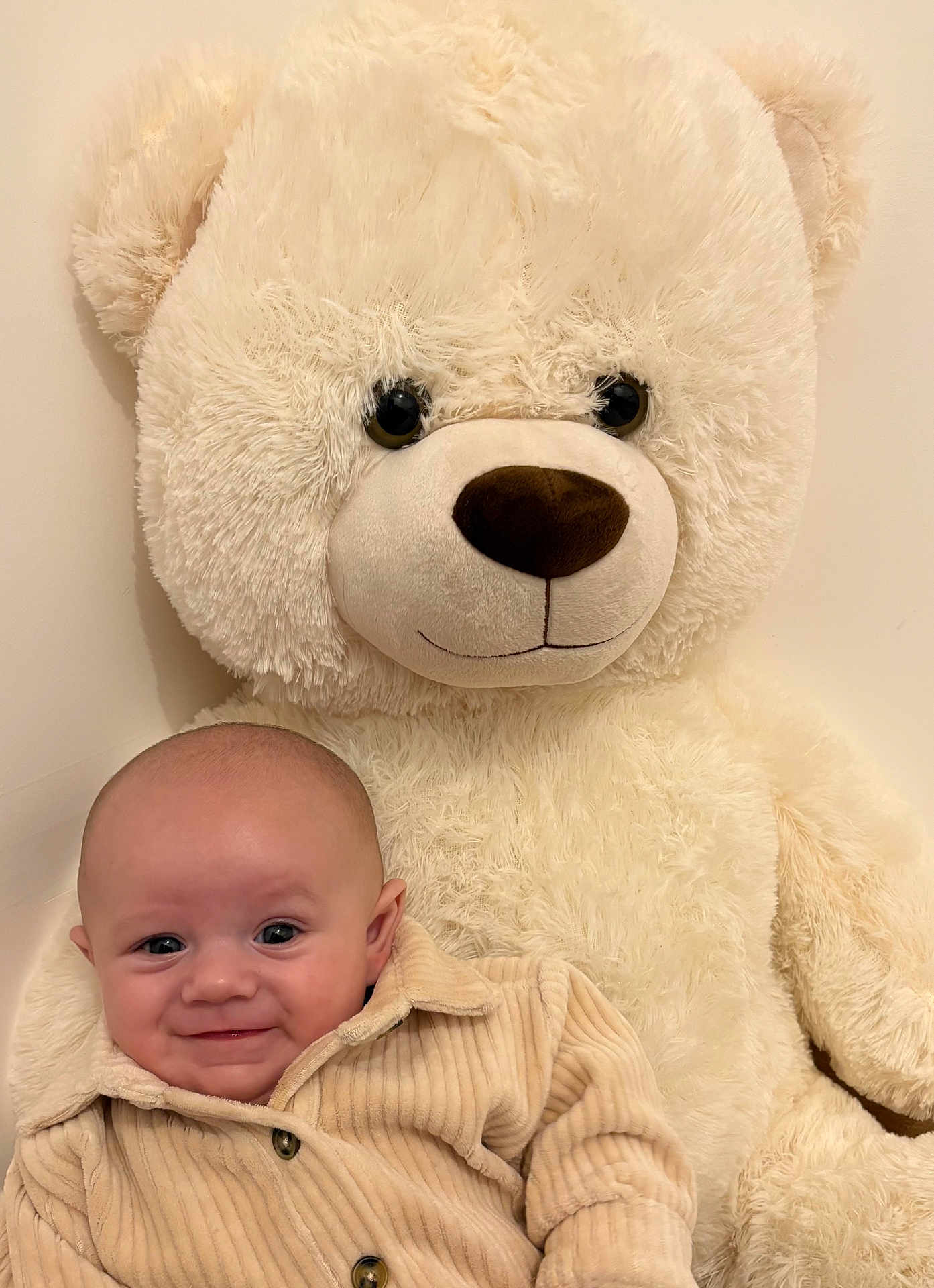 Djino a rejoint le concours — aidez-le/la à gagner de superbes lots ! baby, teddy_bear, smile, plush_toy, soft, cozy, child, cute, indoor, light_background, portrait, happy, infant, clothing, warm_colors, furniture, toy, head, face, cuddle