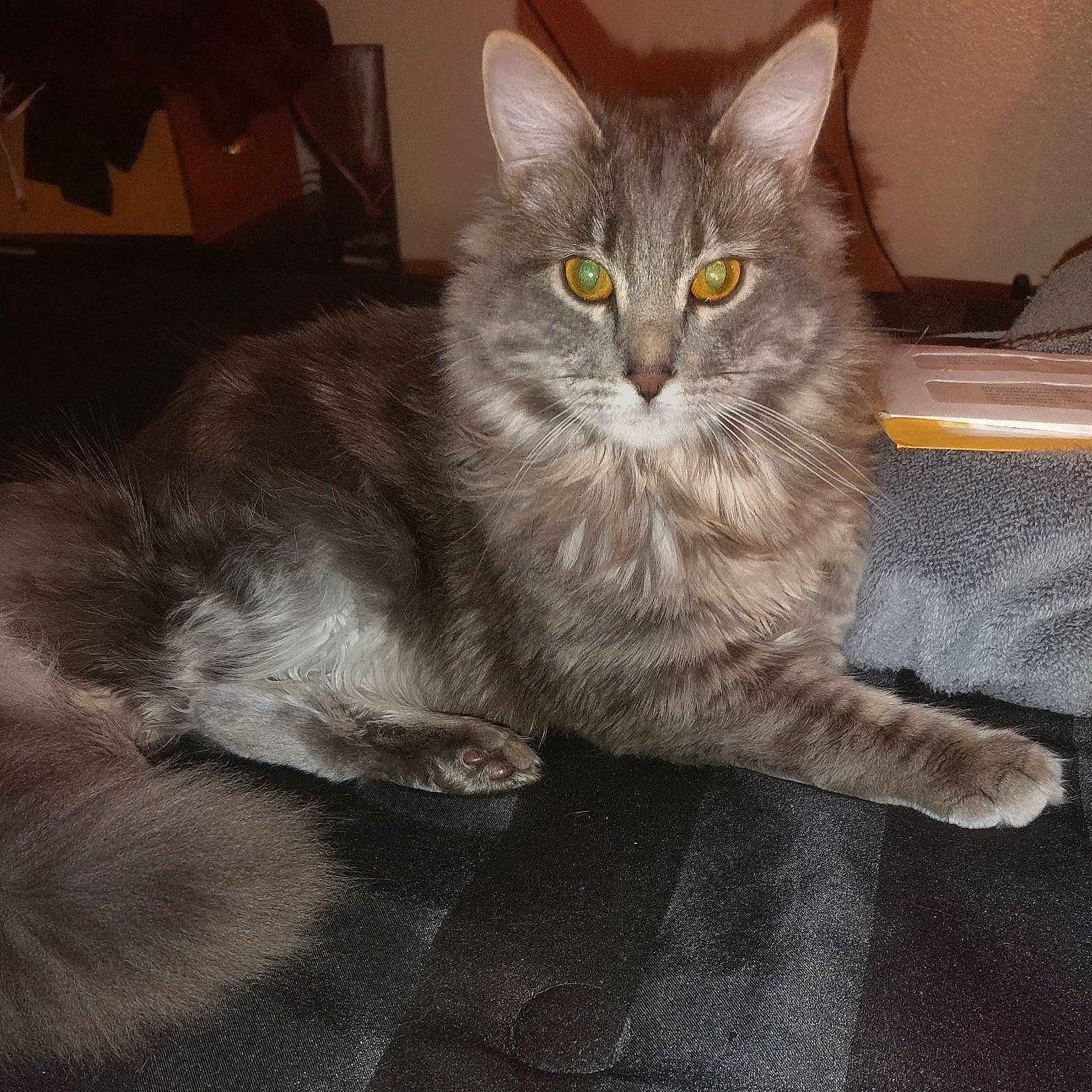Marley
