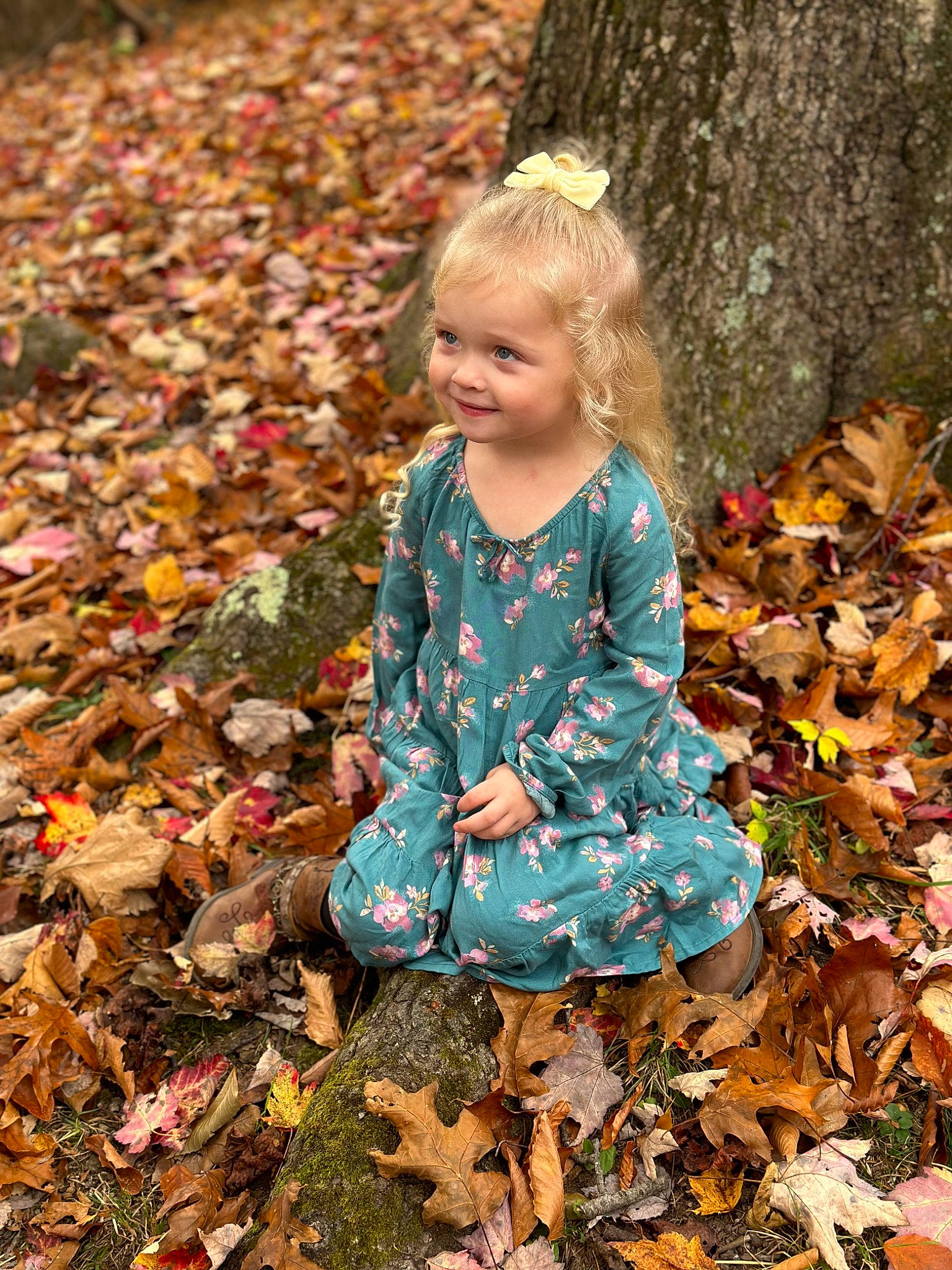 Paislynn is registered to the contest to win money with this photo: adaptation, autumn, baby_toddler_clothing, beauty, child, deciduous, grass, happy, joy, leaf, people_in_nature, person, plant, smile, soil, spring, tints_and_shades, toddler, tree, trunk