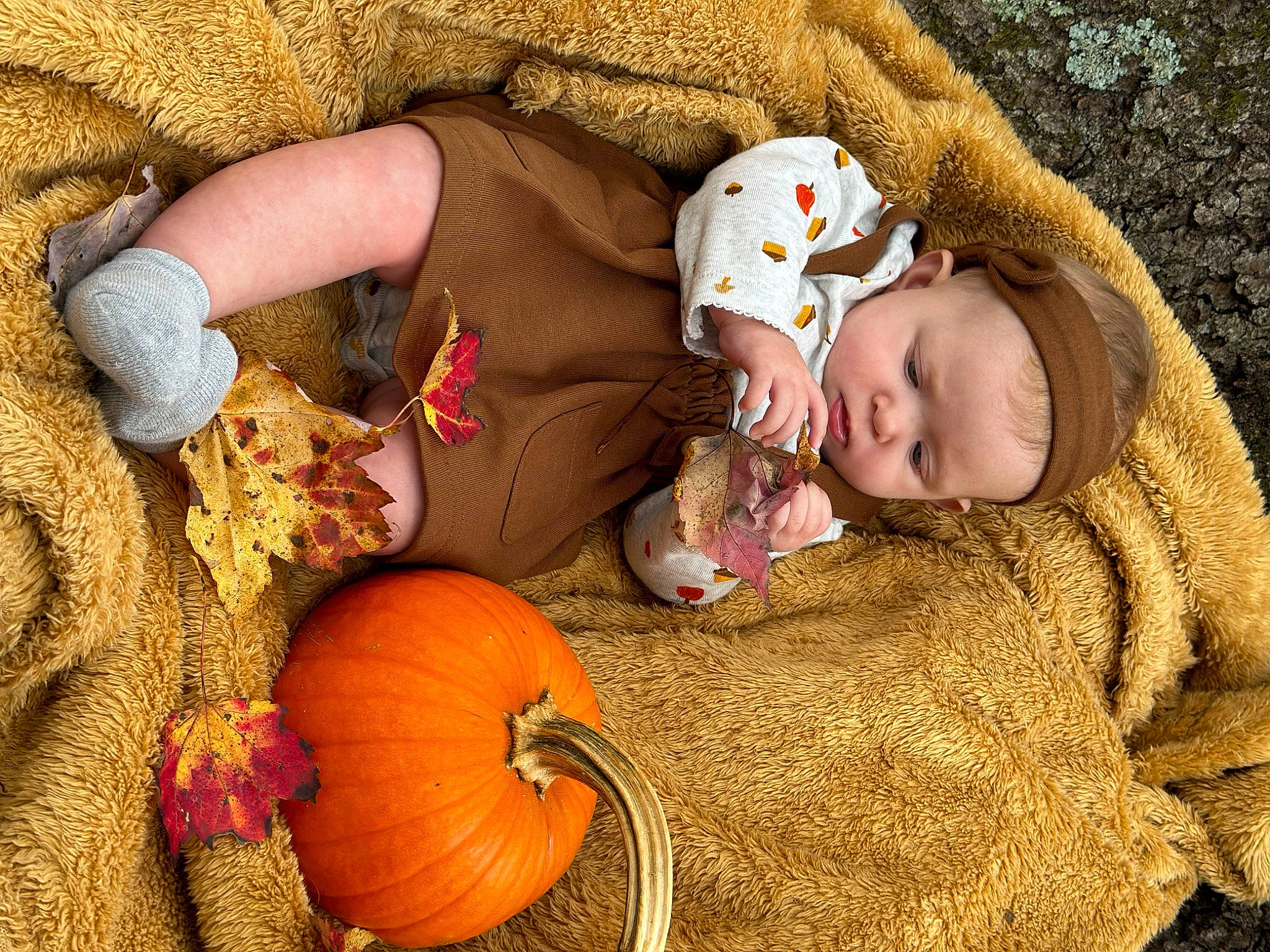 Malia joined the competition — help win amazing prizes! baby, baby_sleeping, baby_toddler_clothing, calabaza, child, comfort, cucurbita, gourd, grass, linens, natural_foods, orange, person, plant, pumpkin, sitting, squash, toddler, vegetable, winter_squash