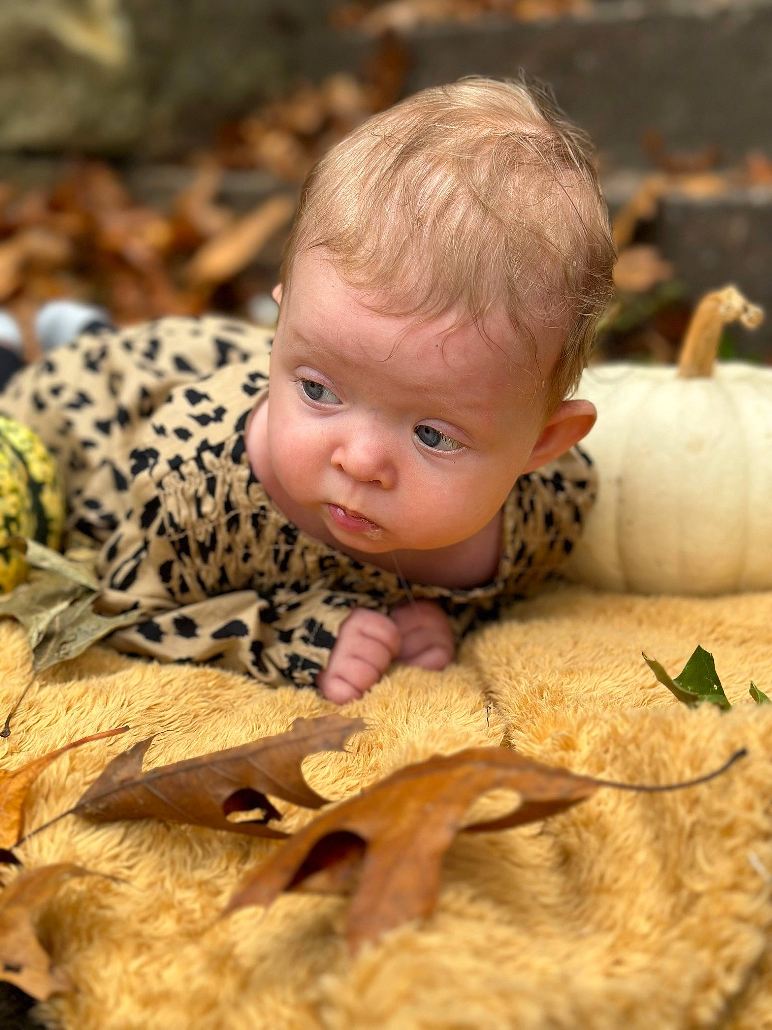 Malia joined the competition — help win amazing prizes! baby, baby_toddler_clothing, child, eye, fun, fur, grass, happy, head, leaf, mammal, pattern, people_in_nature, person, portrait_photography, sitting, skin, toddler, tree, vertebrate
