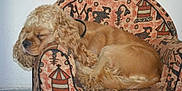 GUESS participe au concours pour gagner de l'argent avec cette photo :