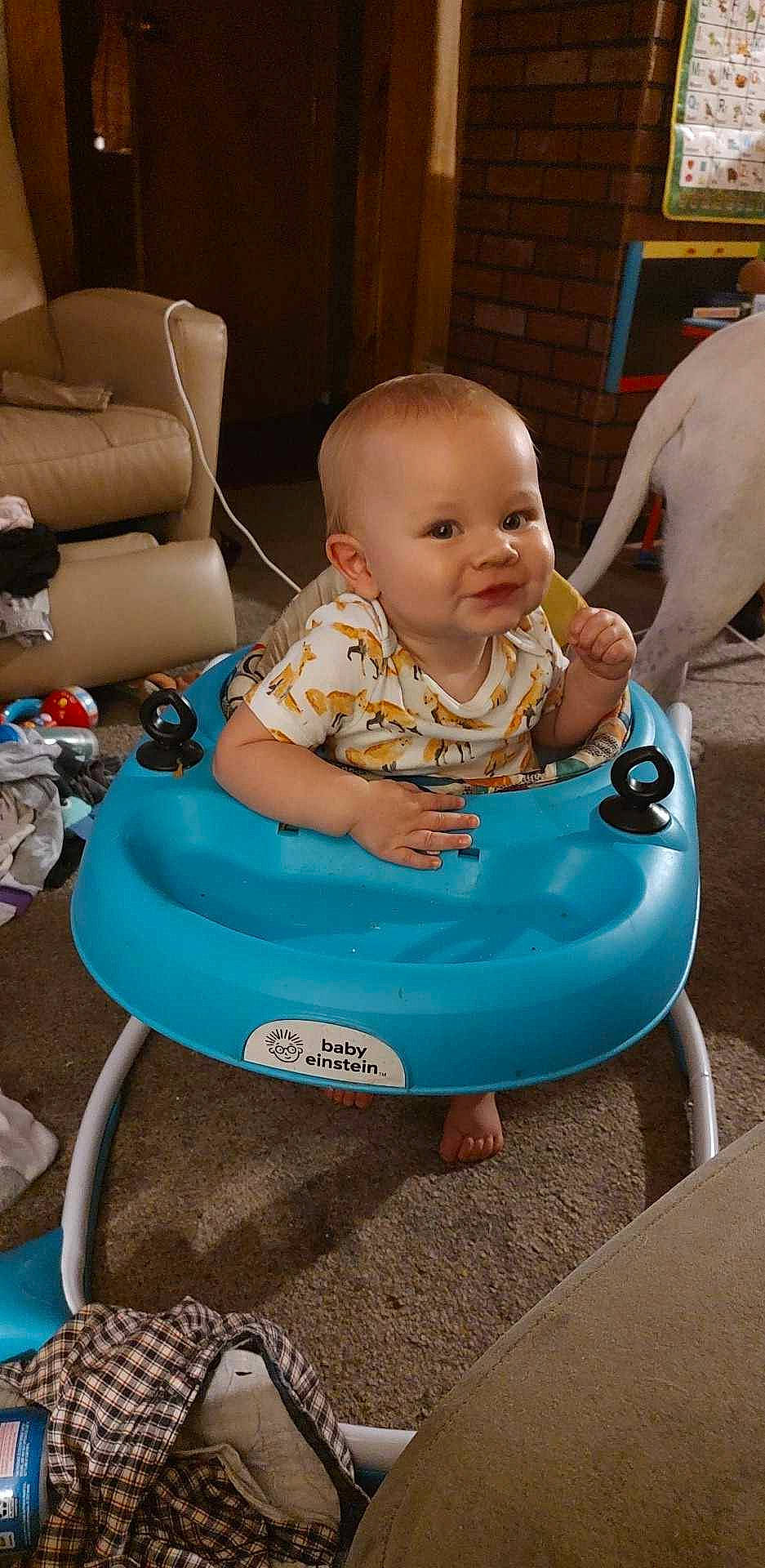 Bronson joined the competition — help win amazing prizes! baby, baby_products, baby_toddler_clothing, baby_toys, chair, child, comfort, electric_blue, event, flooring, fun, joy, leisure, person, plastic, play, riding_toy, room, sitting, toddler