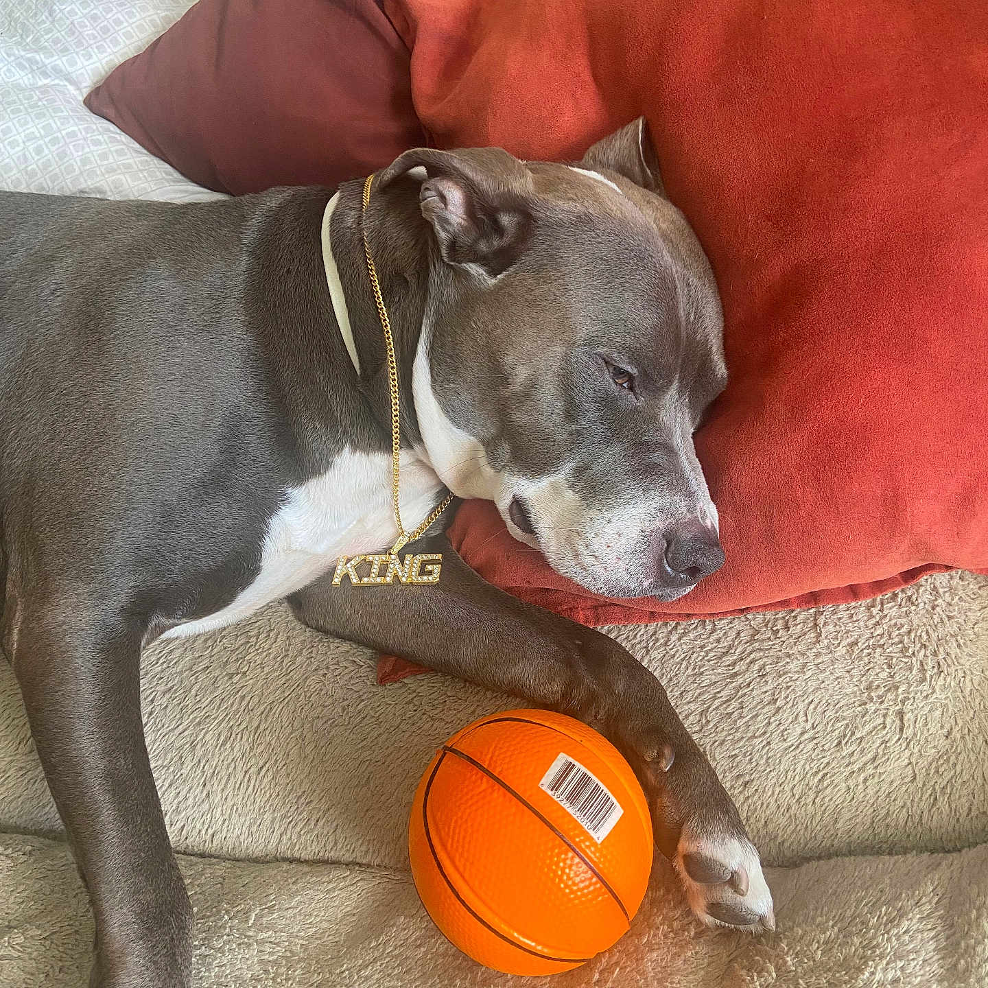 Bruno