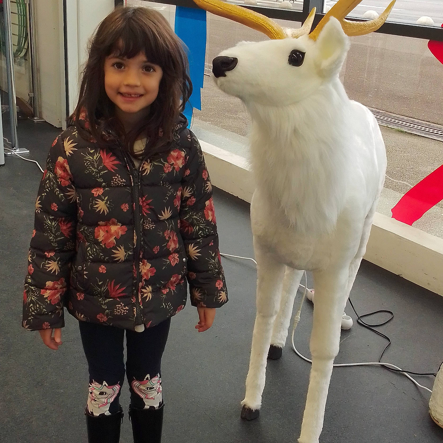 Eden participe au concours pour gagner de l'argent avec cette photo : fawn, fur, joy, person