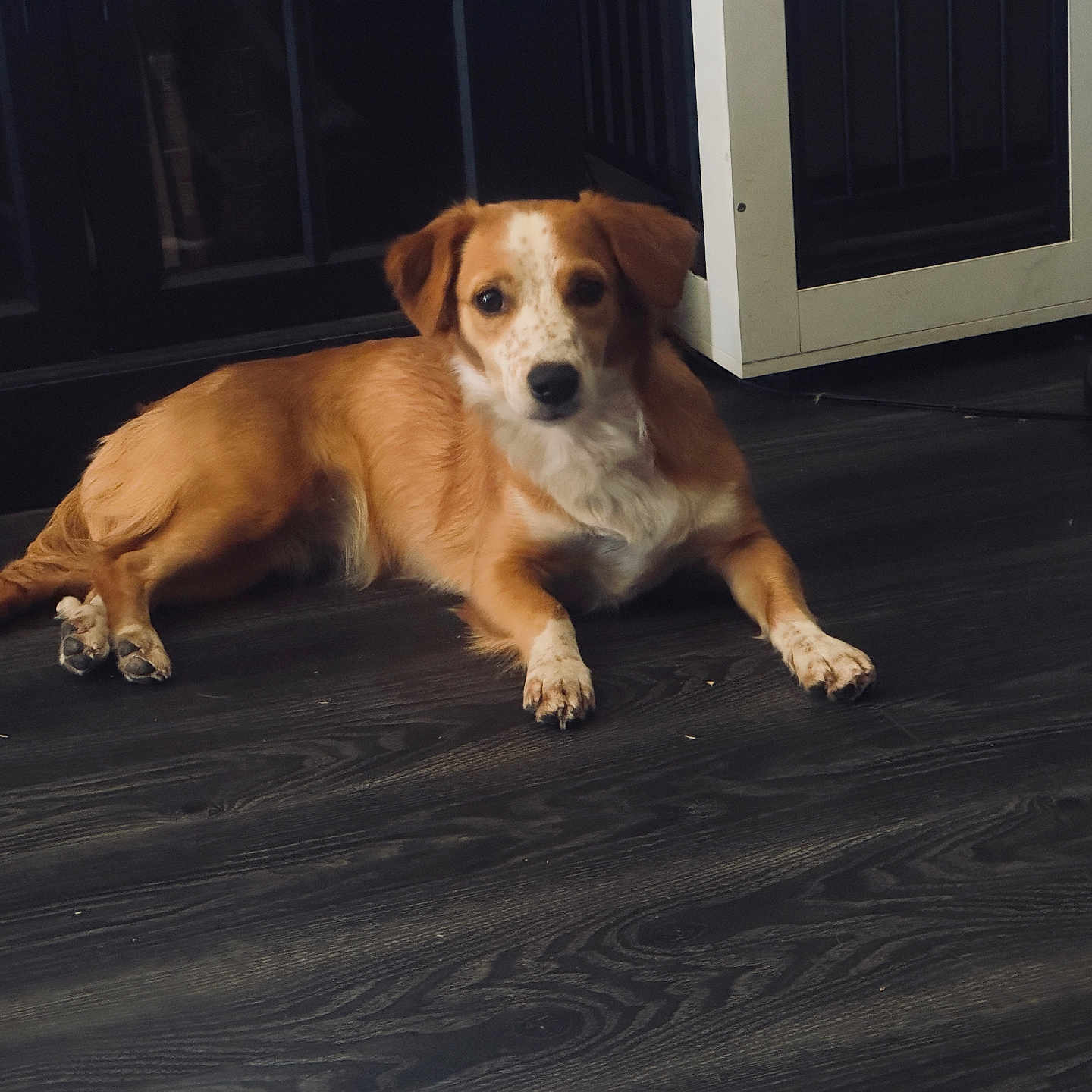 Bailey