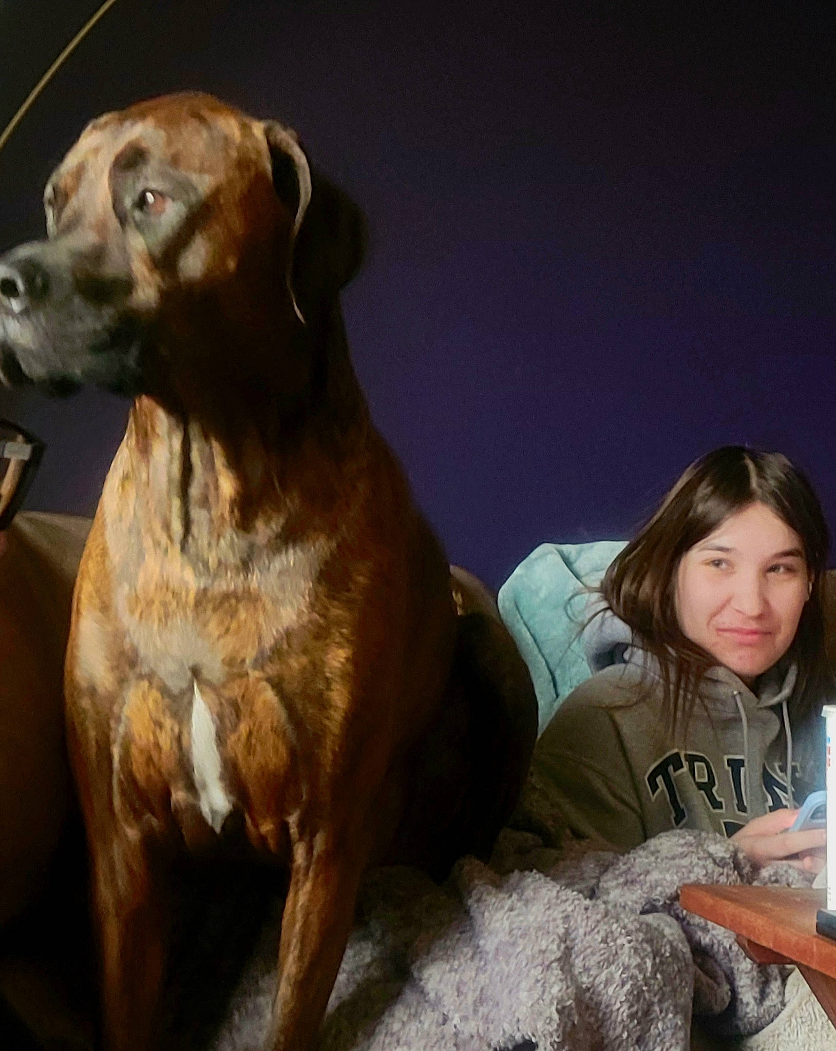 Vinnie joined the competition — help win amazing prizes! canidae, carnivore, comfort, companion_dog, dog, dog_breed, dog_collar, eye, fawn, flash_photography, fur, guard_dog, happy, liver, smile, snout, sporting_group, t_shirt, whiskers, working_animal