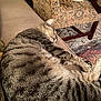 animal, armchair, carpet, cat, comfort, couch, cozy, cute, fur, furniture, home, indoor, living_room, patterned_fabric, pet, relaxed, resting, sleeping, striped, tabby_cat