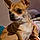 Achille