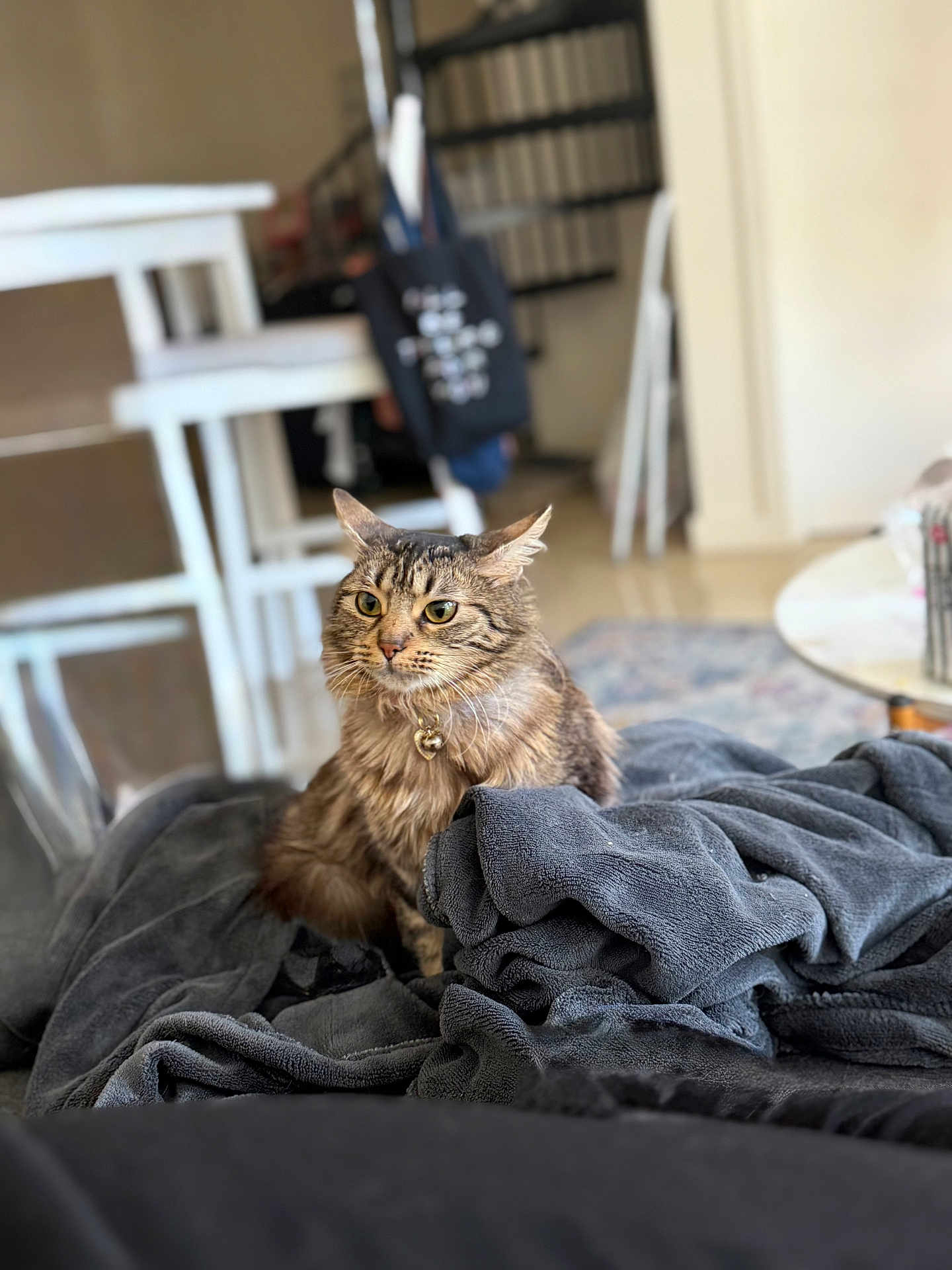Mimi