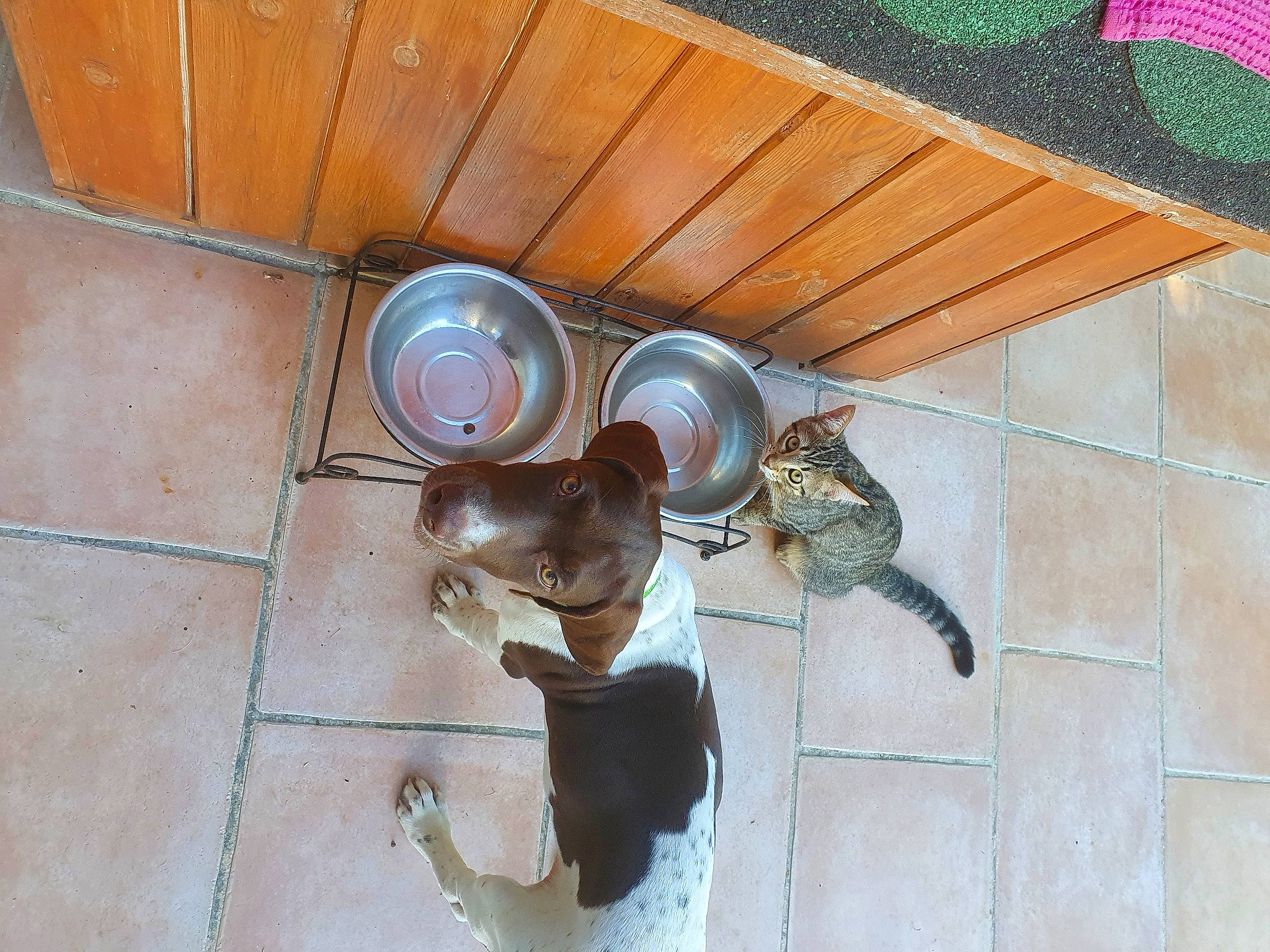 Rhéa a rejoint le concours — aidez-le/la à gagner de superbes lots ! beam, brickwork, ceiling, ceiling_fan, circle, floor, flooring, handrail, hardwood, home_appliance, light_fixture, mechanical_fan, metal, pattern, propeller, room, sculpture, tile, wood, wood_stain