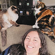 Mochi is registered to the contest to win money with this photo: armchair, casual_clothing, cat, cozy, fluffy_cat, furniture, happy, home, indoor, long_hair, magnets, necklace, pets, photographs, refrigerator, relaxing, smiling, striped_cat, two_cats, woman