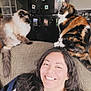 armchair, casual_clothing, cat, cozy, fluffy_cat, furniture, happy, home, indoor, long_hair, magnets, necklace, pets, photographs, refrigerator, relaxing, smiling, striped_cat, two_cats, woman