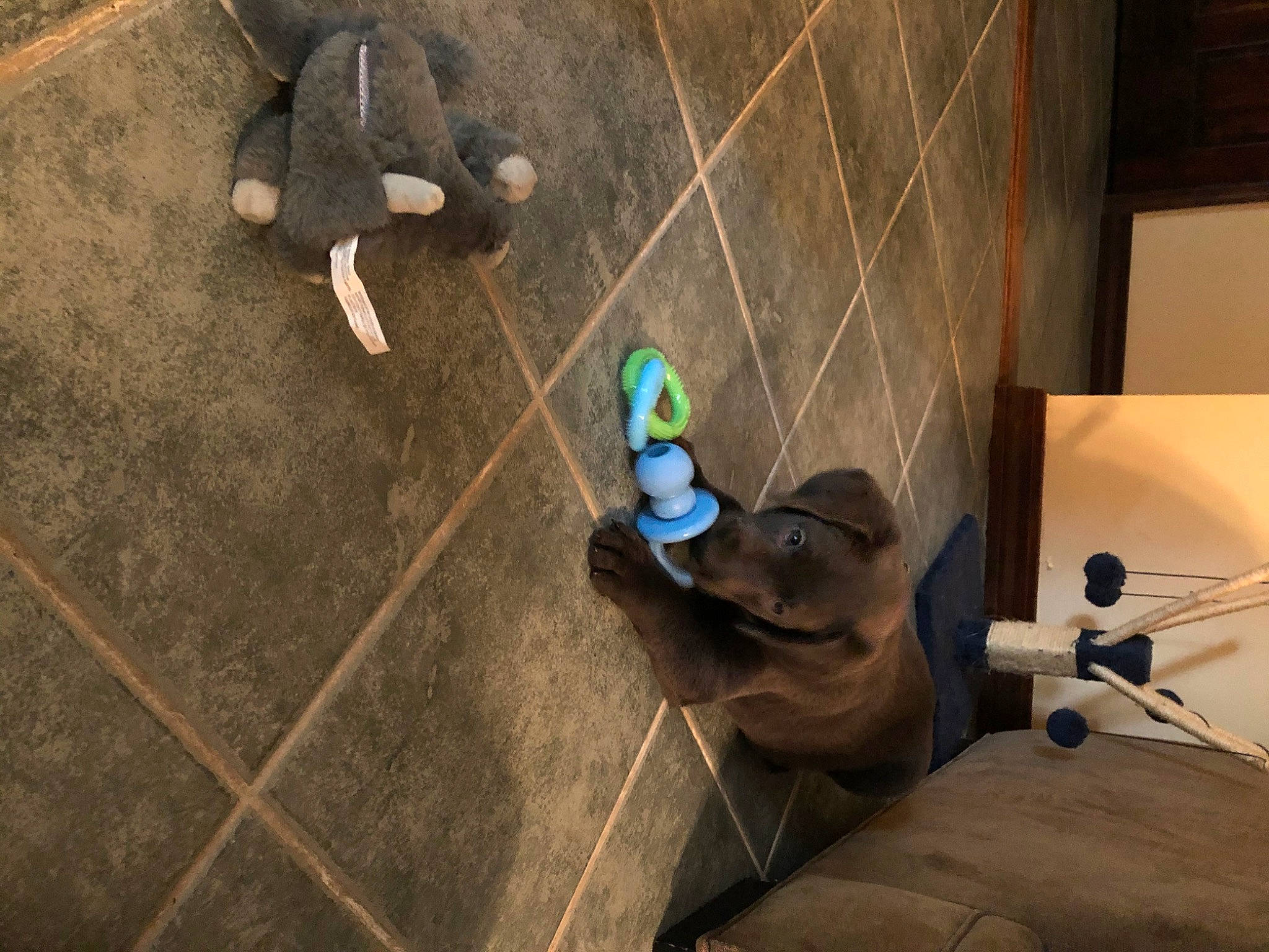 Thor is registered to the contest to win money with this photo: animation, concrete, fictional_character, floor, flooring, games, grey, hardwood, lighting, pc_game, recreation, road_surface, room, shadow, shooter_game, soil, space, tile, video_game_software, wood