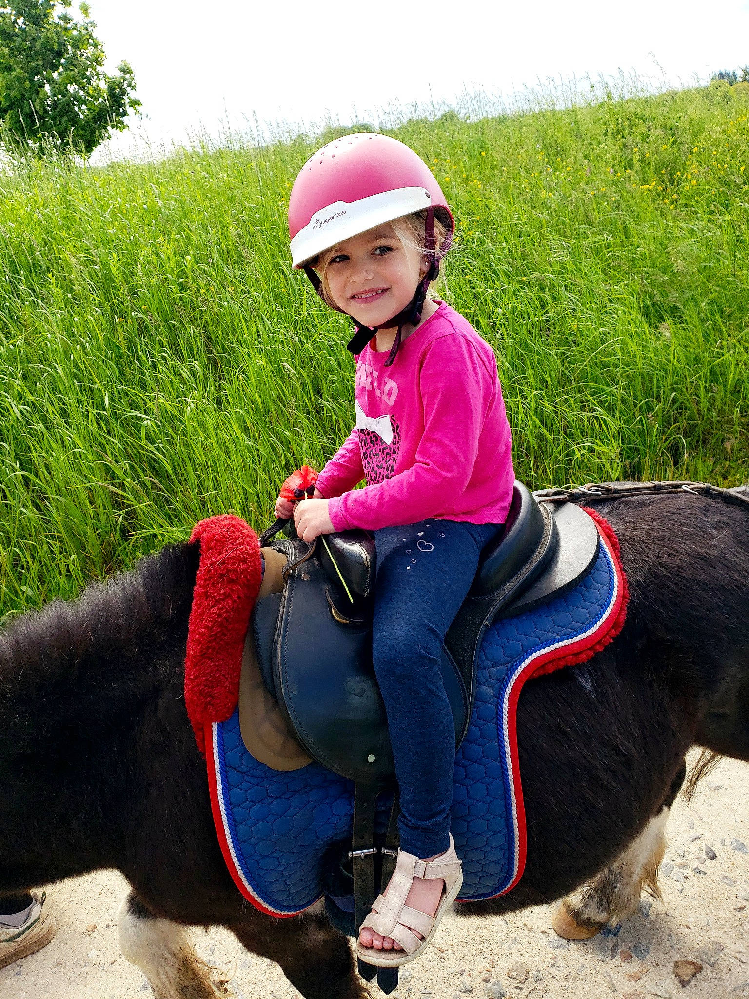 Noline a rejoint le concours — aidez-le/la à gagner de superbes lots ! bridle, equestrian_helmet, fun, happy, headgear, headwear, helmet, horse, horse_supplies, horse_tack, joy, landscape, leisure, outdoor_recreation, people_in_nature, person, personal_protective_equipment, plant, recreation, saddle