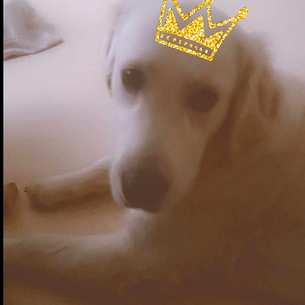 Alaska