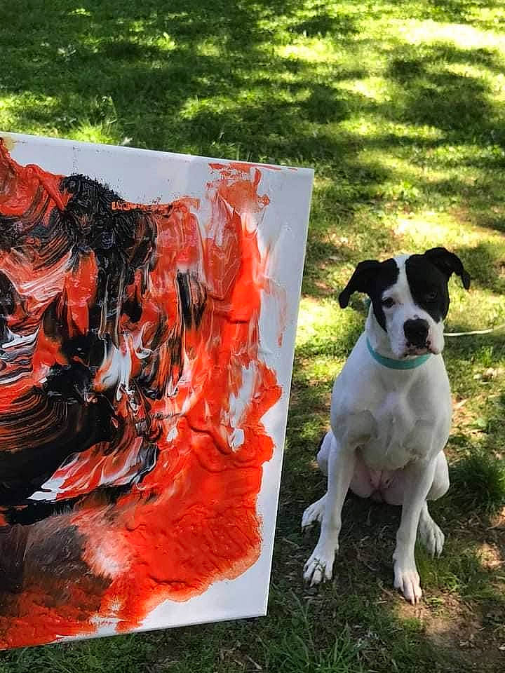 Sadie is registered to the contest to win money with this photo: art, canidae, carmine, carnivore, collar, companion_dog, dog, dog_breed, dog_collar, dog_supply, fawn, fur, grass, paint, plant, snout, sporting_group, tail, terrier, visual_arts