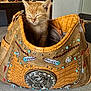 kitten, cat, handbag, purse, decorated, turquoise, silver, embellishments, orange, sleepy, cozy, indoor, table, wooden, kitchen, cute, pet, animal, small, feline