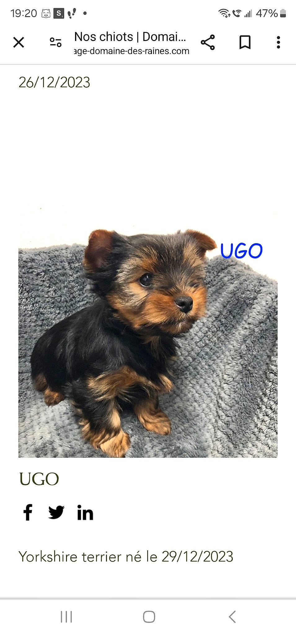 Ugo