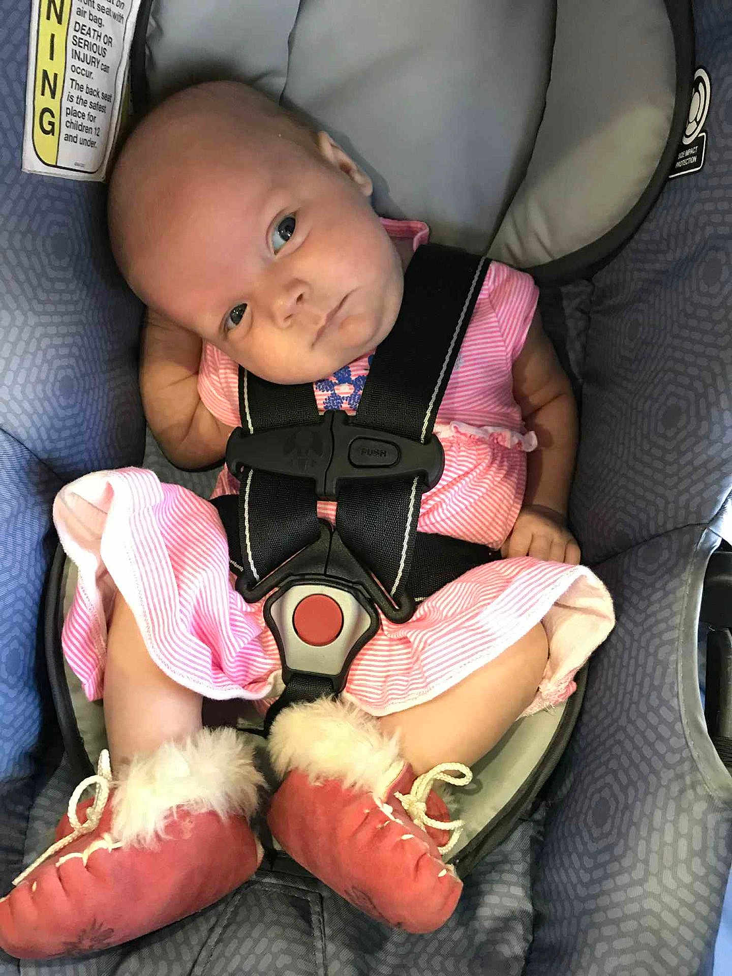 Paisley joined the competition — help win amazing prizes! baby, infant, car_seat, pink_dress, booties, fur_trim, seatbelt, child, cute, looking_sideways, strapped_in, indoors, closeup, soft_lighting, small_hands, head_tilt, fabric_texture, safety_harness, comfort, expression