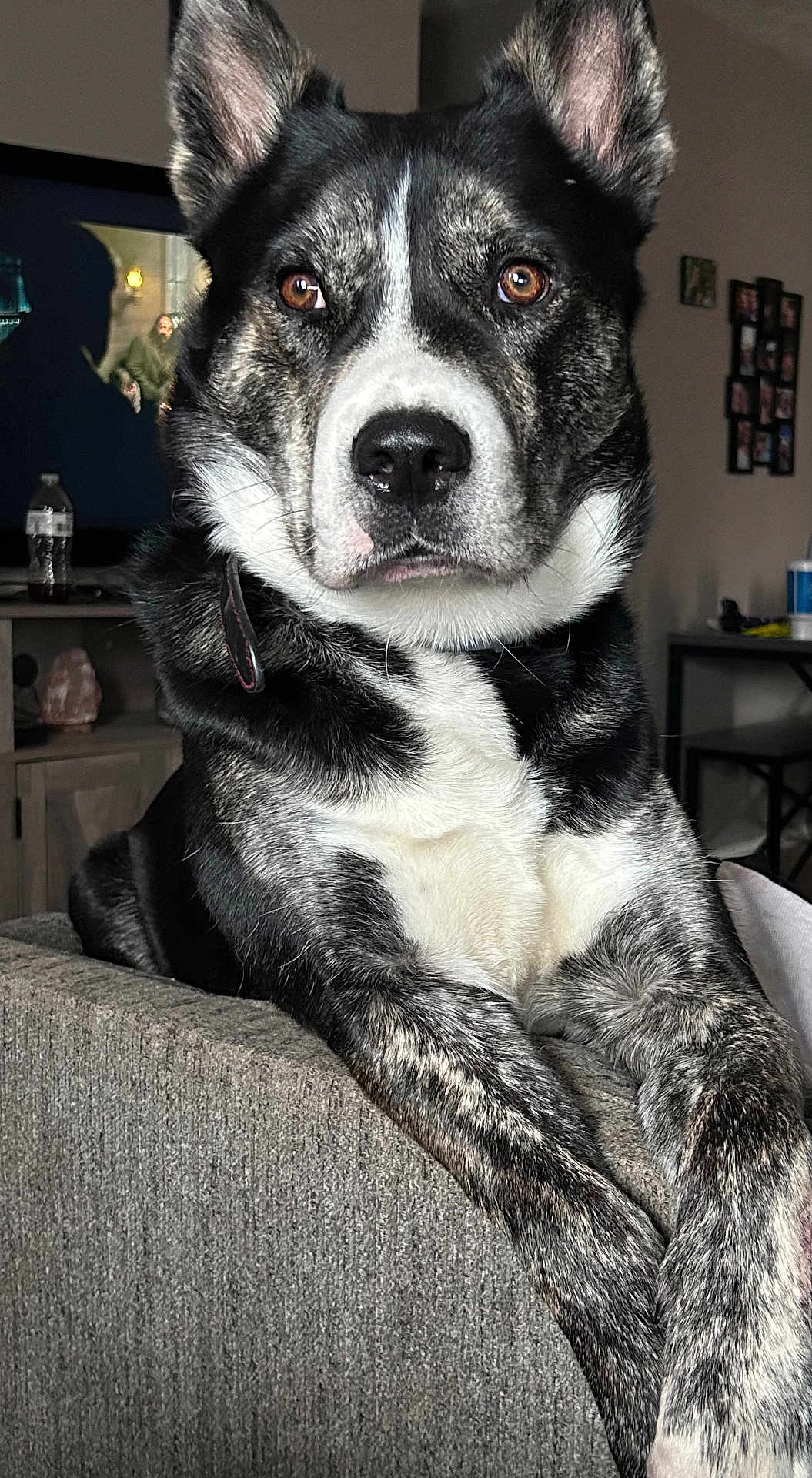 Finnegan