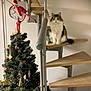 animal, cat, cat_sitting, christmas_tree, clock, decorations, elf_ornament, festive, furniture, holiday, holiday_decor, houseplant, indoor, ornament, pet, spiral_stairs, staircase, tree_topper, wall, wooden_stairs