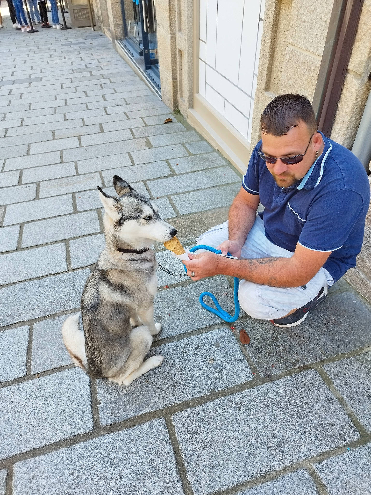 Kira a rejoint le concours — aidez-le/la à gagner de superbes lots ! audubons_cottontail, companion_dog, door, fawn, flooring, fur, hare, human_leg, rabbit, rabbits_and_hares, recreation, sidewalk, sitting, snout, street, sunglasses, tail, whiskers, wildlife, wood_rabbit