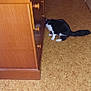 cat, black_and_white, furniture, dresser, drawer, floor, indoor, door, curious, pet, animal, wood, cabinet, knob, flooring, domestic, house, curiosity, room, exploring