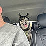 Stella participe au concours pour gagner de l'argent avec cette photo : animal, backseat, canine, car_interior, companion, daylight, dog, gray_sweatshirt, happy, heterochromia, husky, leather_seat, person, pet, road_trip, seatbelt, smiling, tongue_out, travel, window