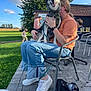 blue_sky, brick_building, casual, chair, child, clouds, dog, family, glass, grass, green_field, happy, jeans, leash, orange_shirt, outdoor, pavement, person, sitting, table
