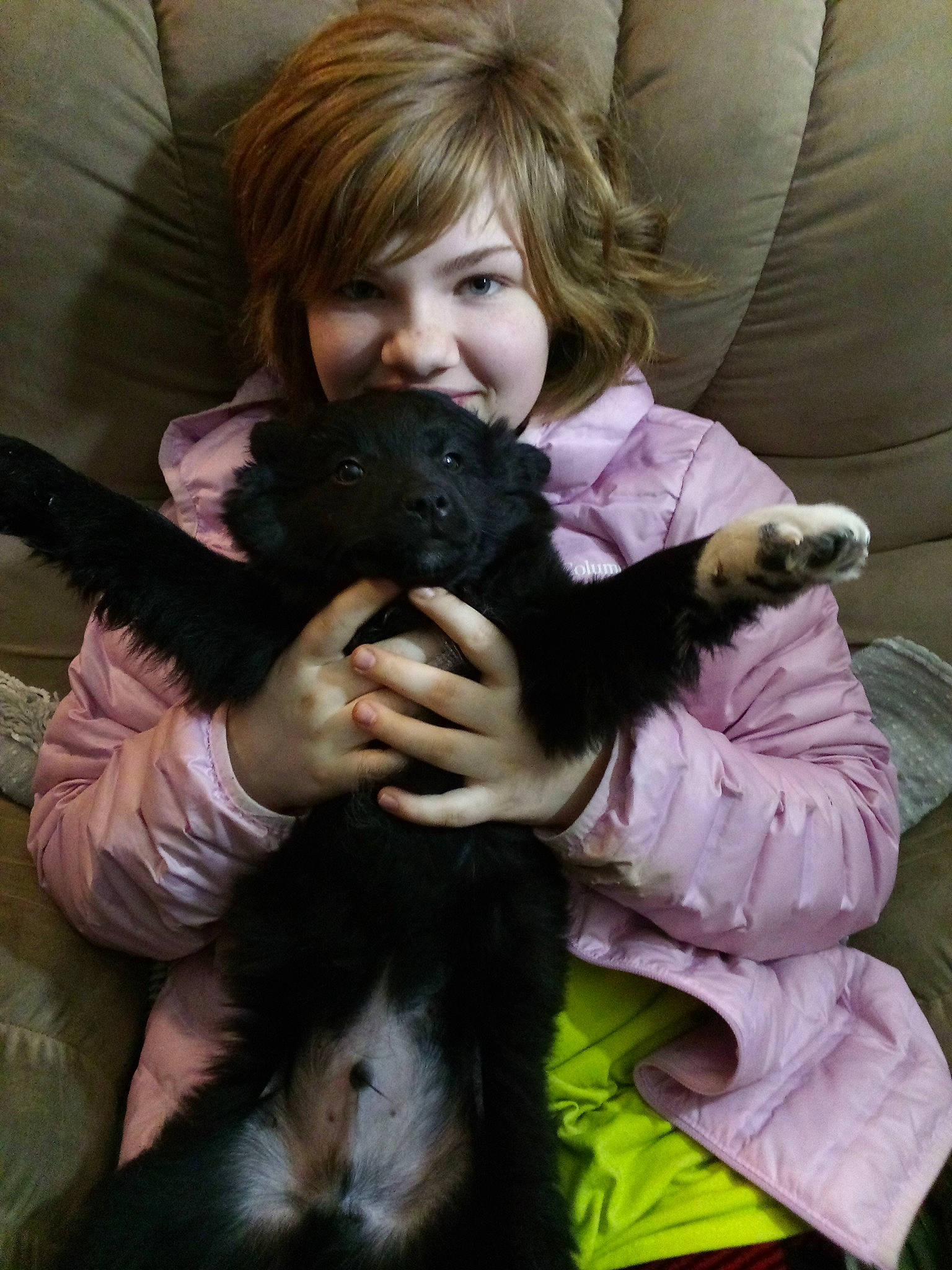 Boots is registered to the contest to win money with this photo: black_hair, carnivore, comfort, companion_dog, dog_breed, ear, felidae, finger, fur, gesture, happy, lap, mammal, pink, purple, skin, small_to_medium_sized_cats, smile, thumb, vertebrate