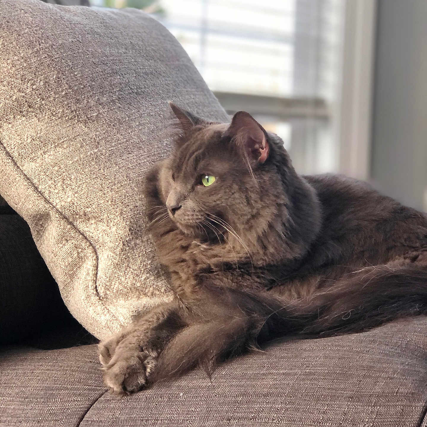 Percy
