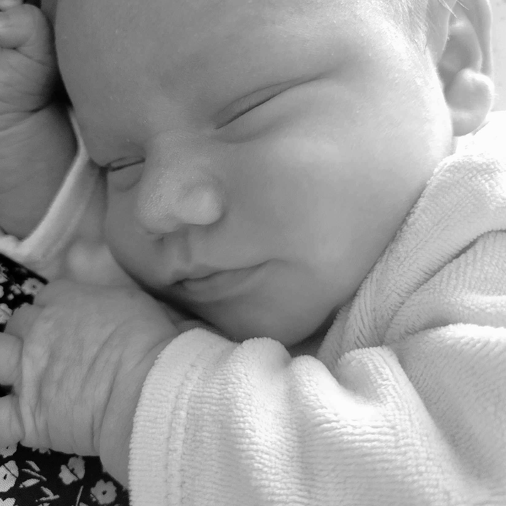Sacha participe au concours pour gagner de l'argent avec cette photo : baby, newborn, sleeping, closeup, black_and_white, infant, peaceful, face, hand, blanket, soft, texture, portrait, rest, cute, cozy, skin, clothing, peace, quiet