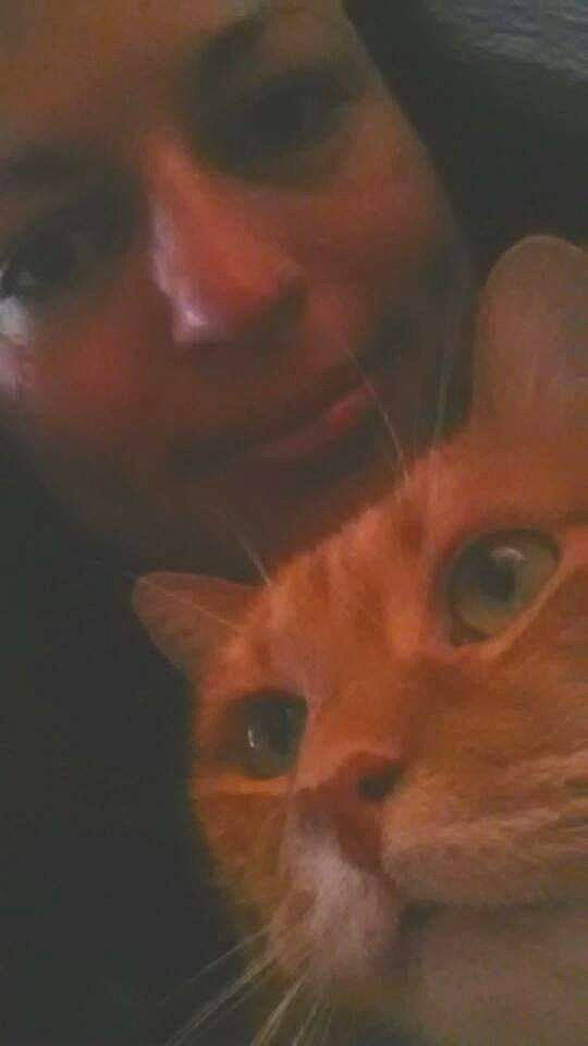 Titi participe au concours pour gagner de l'argent avec cette photo : amber, black, brown, carnivore, cat, cheek, close_up, facial_expression, fawn, felidae, iris, lip, orange, organ, organism, skin, small_to_medium_sized_cats, snout, vertebrate, whiskers