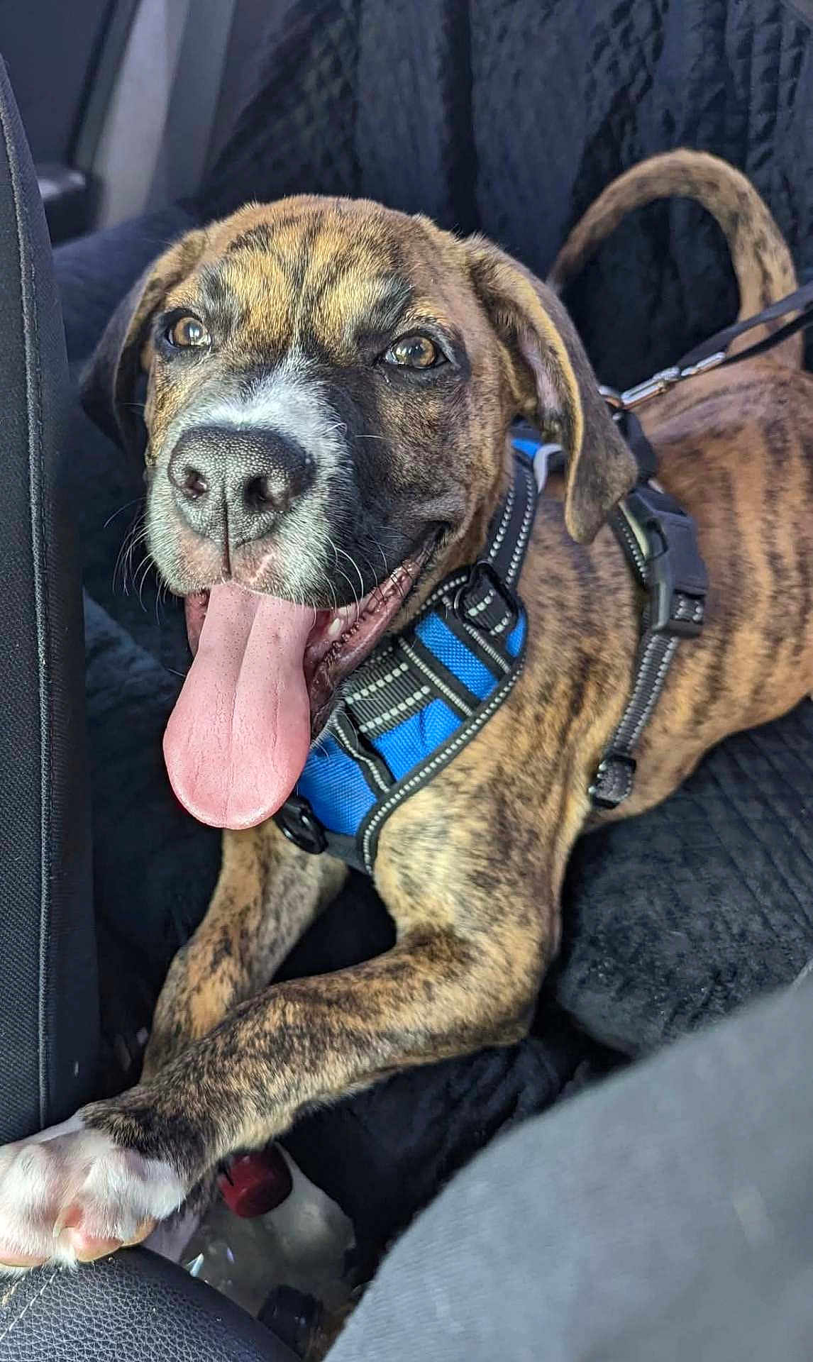 Marlo