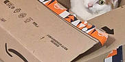 Gaya participe au concours pour gagner de l'argent avec cette photo : cat, calico, cardboard_box, amazon_box, pet, animal, indoor, curious, paw, green_eyes, alert, cozy, playful, feline, box_tape, container, floor, cute, domestic_animal, wide_eyes