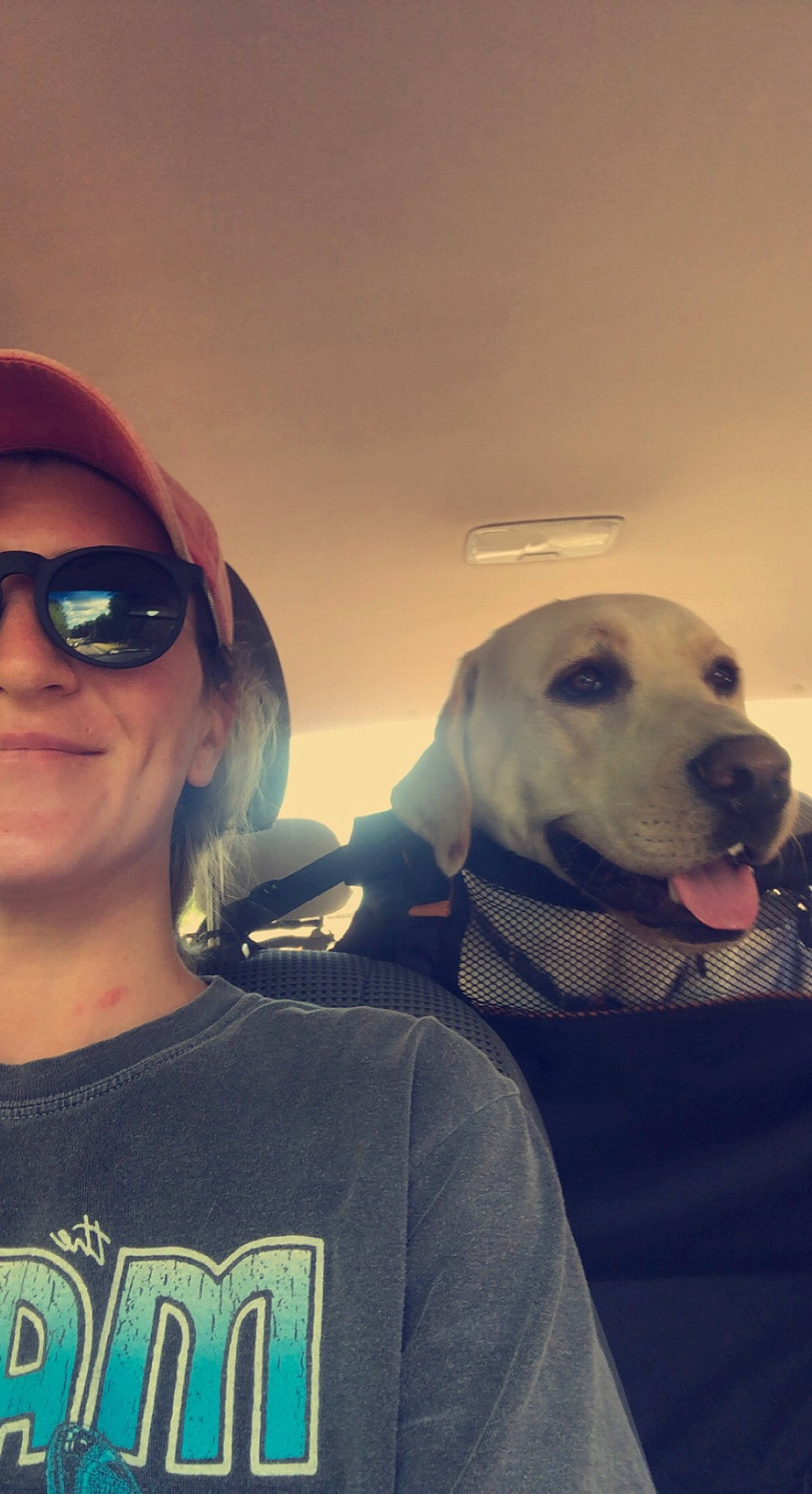 Cotton joined the competition — help win amazing prizes! carnivore, companion_dog, cool, dog, dog_breed, eyewear, fawn, friendship, glasses, goggles, happy, personal_protective_equipment, selfie, sleeve, smile, snout, street_fashion, sunglasses, t_shirt, vision_care