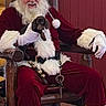 Puppy is registered to the contest to win money with this photo: santa_claus, dog, puppy, rocking_chair, log_cabin, red_door, indoor, holiday, christmas, beard, white_gloves, fur_trim, boots, smiling, seated, wooden_furniture, festive, jolly, warm_lighting, costume