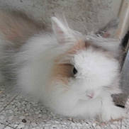 Nini participe au concours pour gagner de l'argent avec cette photo :