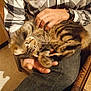 Babylone participe au concours pour gagner de l'argent avec cette photo :