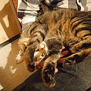 Babylone participe au concours pour gagner de l'argent avec cette photo :