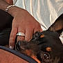 Masha is registered to the contest to win money with this photo: dog, pet, close_up, black_and_brown, ear, eye, person, hand, ring, white_shirt, snuggling, cozy, fur, skin, casual, indoor, resting, comfort, animal, companion