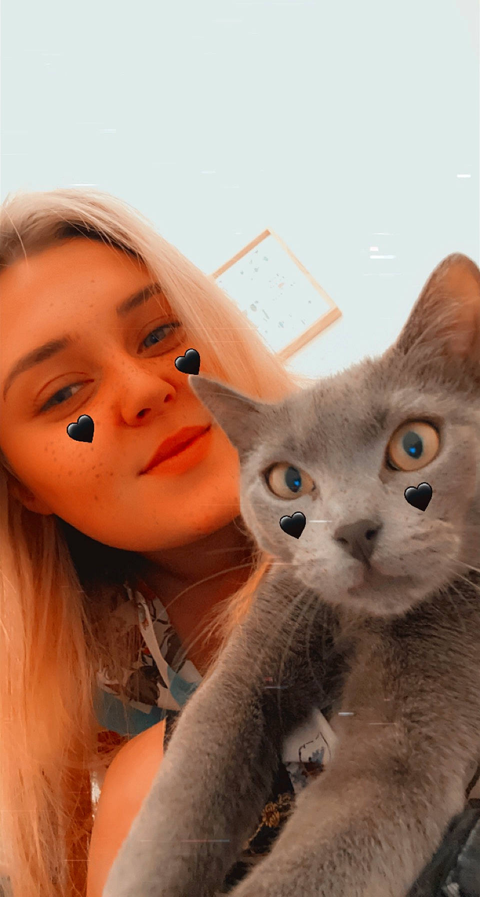 Mylo participe au concours pour gagner de l'argent avec cette photo : carnivore, cat, comfort, domestic_short_haired_cat, ear, eye, eyelash, fawn, felidae, fur, gesture, happy, iris, nose, selfie, small_to_medium_sized_cats, snout, tail, whiskers, window