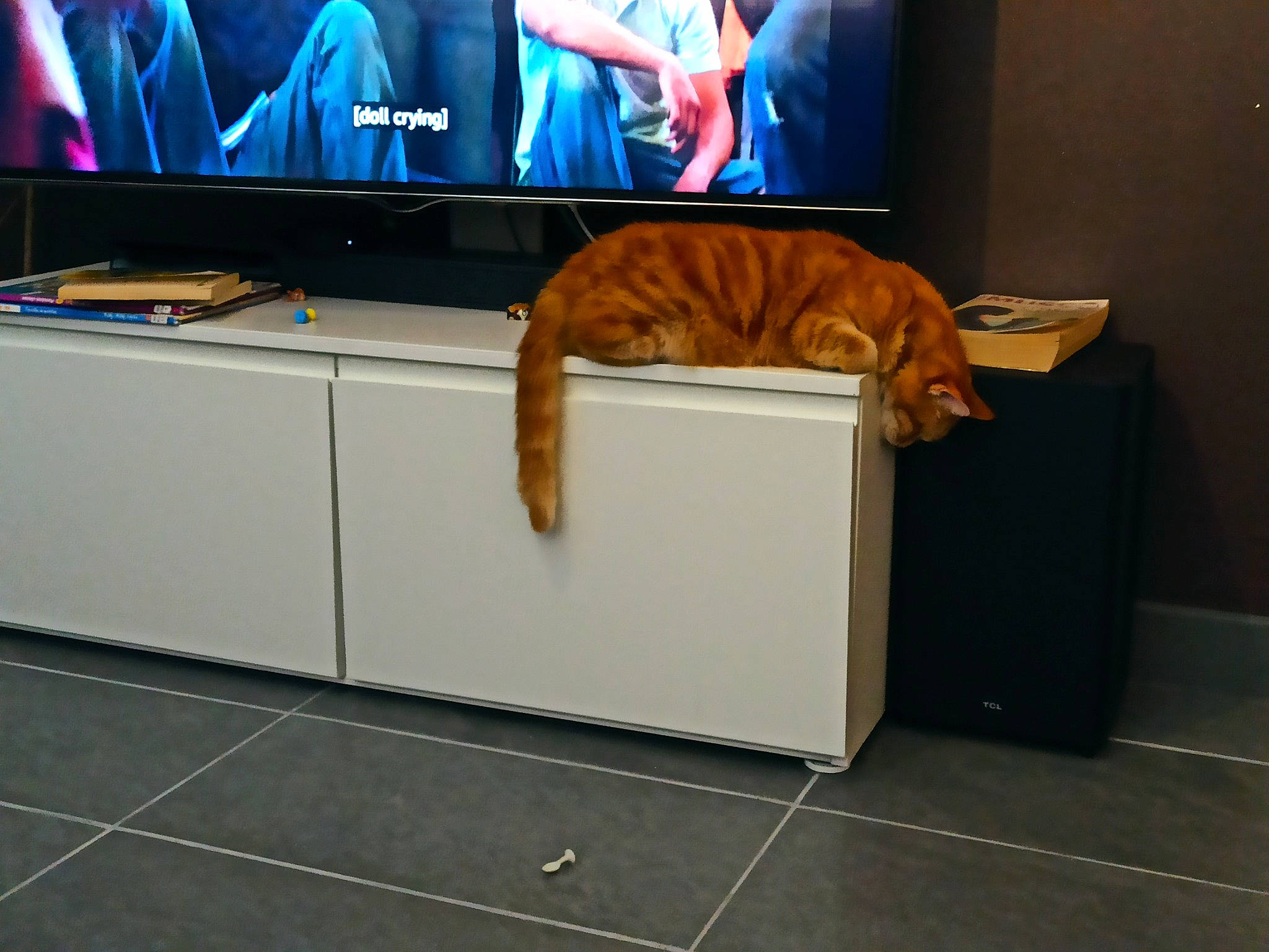 Pompon participe au concours pour gagner de l'argent avec cette photo : audio_equipment, carnivore, cat, computer_desk, desktop_computer, electronic_device, felidae, flat_panel_display, floor, flooring, gadget, hardwood, home_appliance, output_device, shelving, small_to_medium_sized_cats, table, technology, television_set, wood