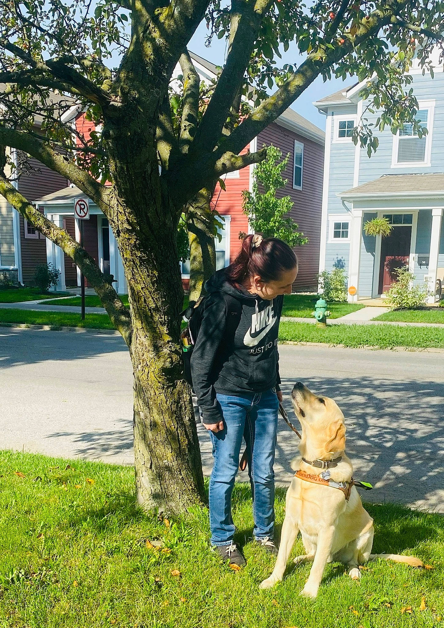 Thor joined the competition — help win amazing prizes! building, carnivore, companion_dog, dog, dog_breed, fawn, grass, house, jeans, lawn, leash, leisure, people_in_nature, plant, recreation, sidewalk, sporting_group, tree, trunk, window