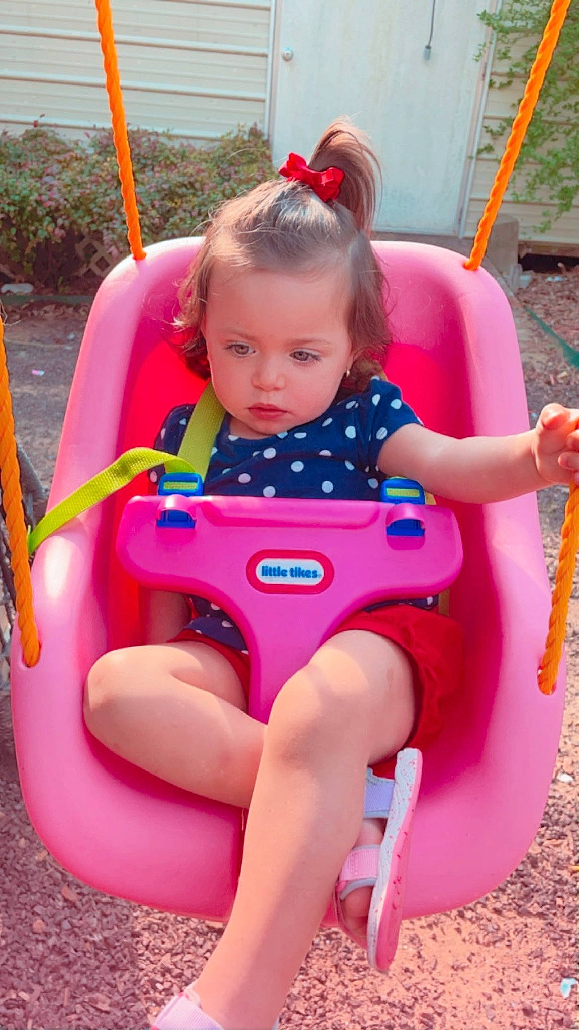 Rebecca is registered to the contest to win money with this photo: baby, baby_toddler_clothing, child, facial_expression, fun, happy, leisure, magenta, outdoor_play_equipment, person, pink, plant, playground, product, recreation, red, sitting, skin, summer, thigh