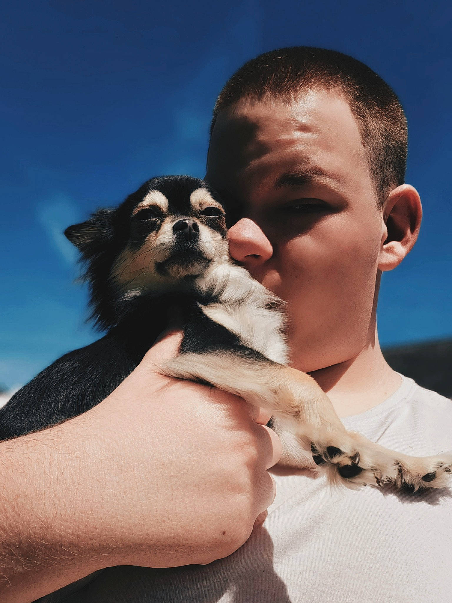 Chloé a rejoint le concours — aidez-le/la à gagner de superbes lots ! canidae, chest, companion_dog, dog_breed, event, eyewear, fawn, finger, flash_photography, fun, fur, gesture, hand, happy, primate, romance, sky, sporting_group, vacation, vision_care