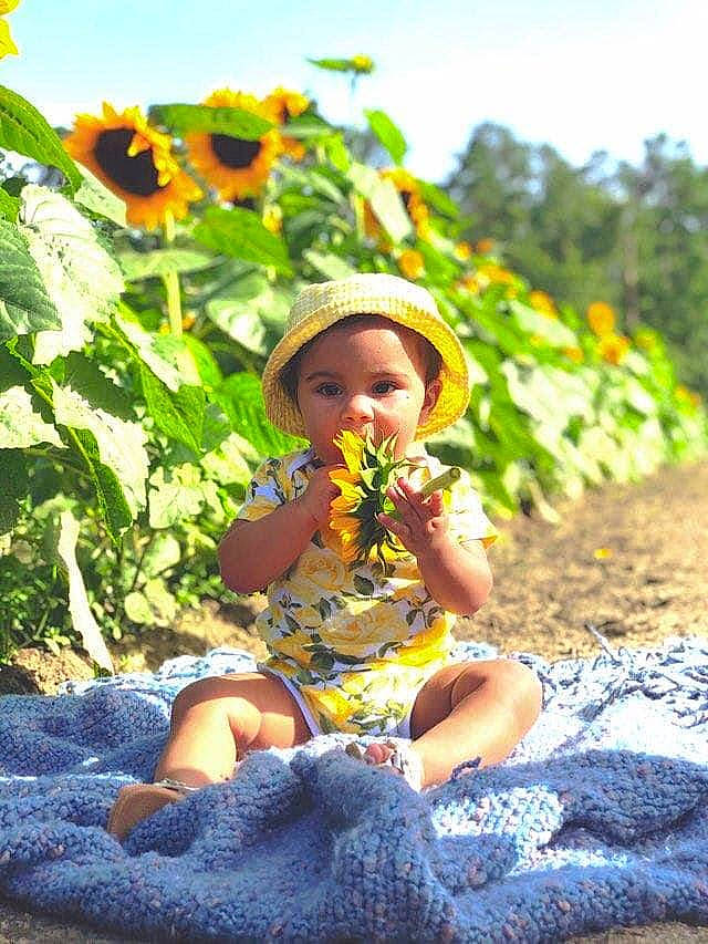 Indigo joined the competition — help win amazing prizes! child, fawn, flower, grass, happy, leaf, people_in_nature, person, photography, plant, sitting, summer, sun_hat, sunflower, sunlight, vacation, wildflower