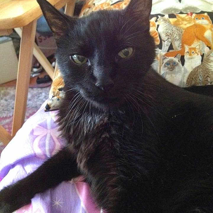 Prince Charles joined the competition — help win amazing prizes!